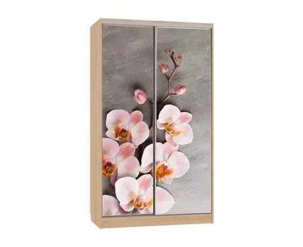 Шкаф-купе Колорадо 7 Цветы 2 (231, 60 см, Прямые, Светлое дерево, 120 см)
