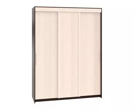 Шкаф-купе Контур ШР-1