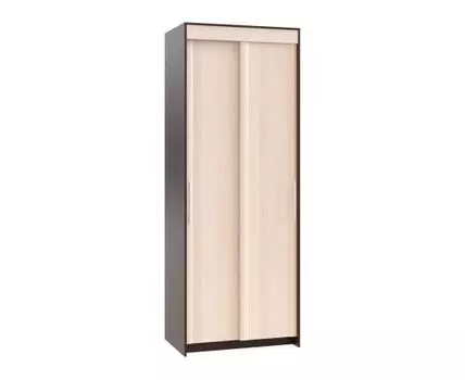 Шкаф-купе Контур ШР-96.1