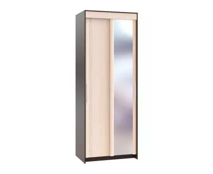 Шкаф-купе Контур ШР-96.1 с зеркалом