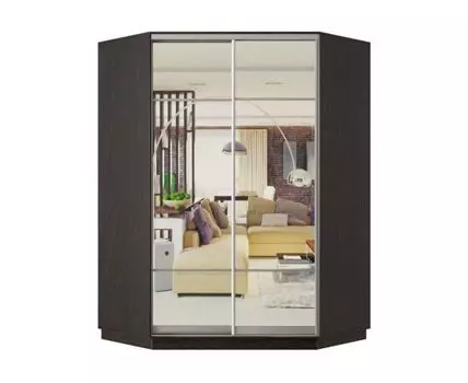 Шкаф-купе Маршал Лайт