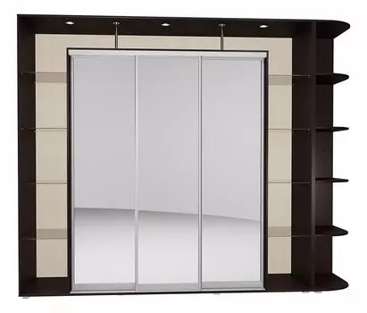 Шкаф-купе Мебелайн-24