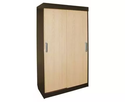 Шкаф-купе ПШ-1.10