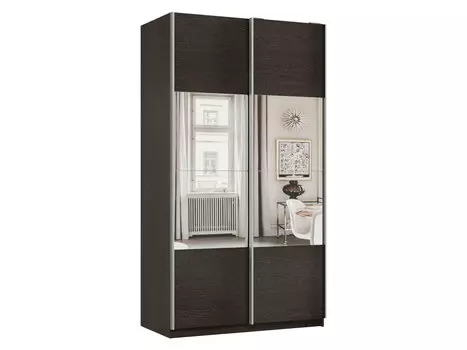 Шкаф-купе Смарт Зеркальная секция