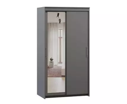 Шкаф-купе Тебар-2-100-190 Графит 1 зеркало