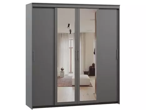 Шкаф-купе Тебар-4-200-220 Графит 2 зеркала