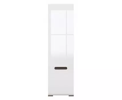 Шкаф платяной Ацтека SZF1D/21/6