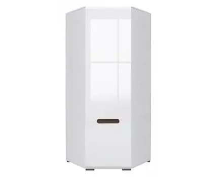 Шкаф платяной Ацтека SZFN1D/21/10