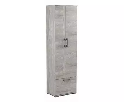 Шкаф платяной Денвер Д-2