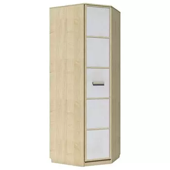 Шкаф платяной Фанк НМ 013.04-02