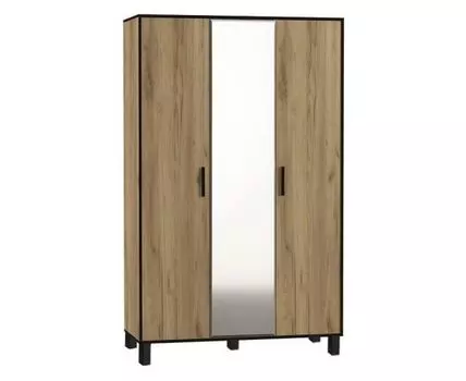 Шкаф платяной Лофт-3
