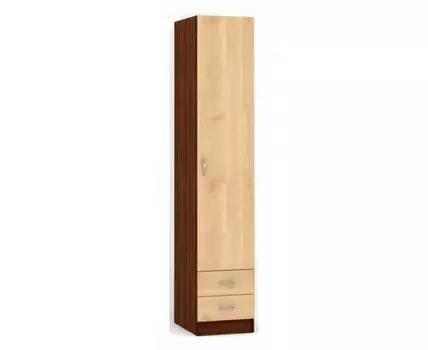 Шкаф платяной Рио ШР.040.400-01