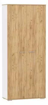 Шкаф платяной Санти НМ 040.42