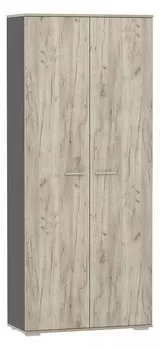 Шкаф платяной Санти НМ 040.42
