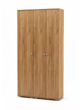 Шкаф платяной Тунис-5