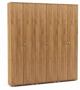 Шкаф платяной Тунис-9