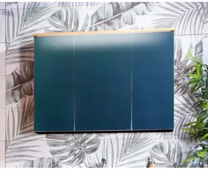 Шкаф зеркальный навесной Форест 100