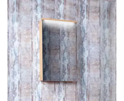 Шкаф зеркальный навесной Форест 40