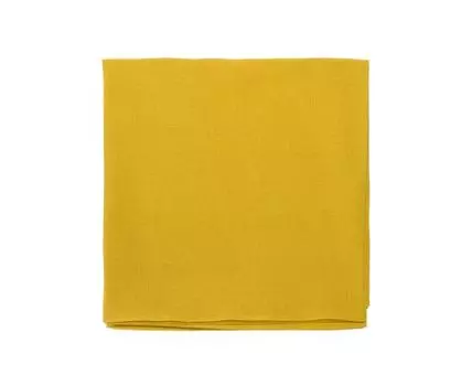 Скатерть из стираного льна горчичного цвета Essential (горчичный, 170)