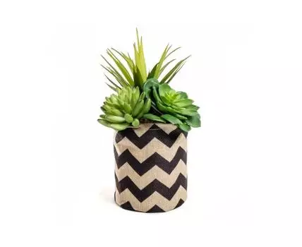 Смесь искусственных суккулентов Flower (Зеленый, 15)