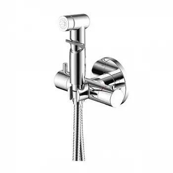 Смеситель Rossinka X25-58 термостатический с гигиеническим душем, встраиваемый, хром