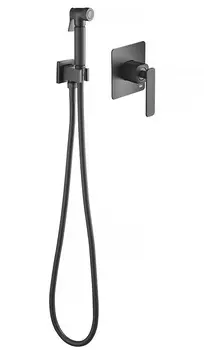 Смеситель Timo Torne 4389/03SM black