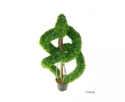 Спираль Фринджи