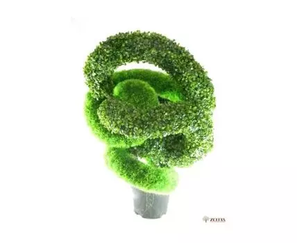 Спираль из самшита Мажоретта