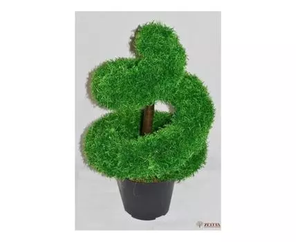 Спираль из самшита мини