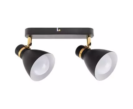 Спот Arte Lamp FAFNIR