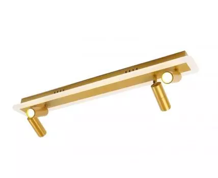 Спот ArteLamp TOMMY