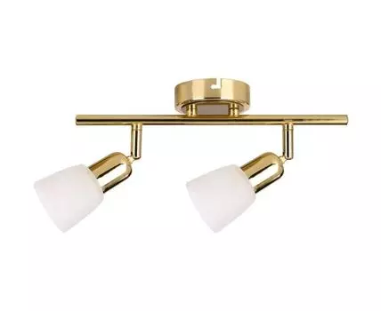 Спот (Белый, 39)