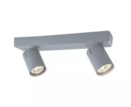 Спот Carrisi (Серый)