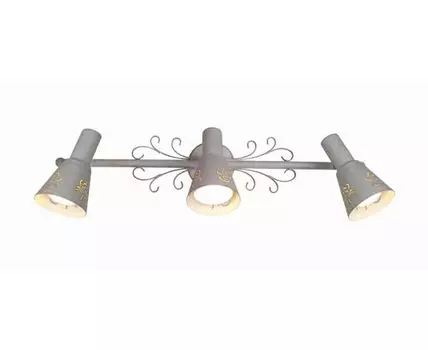 Спот CitiLux Дункан