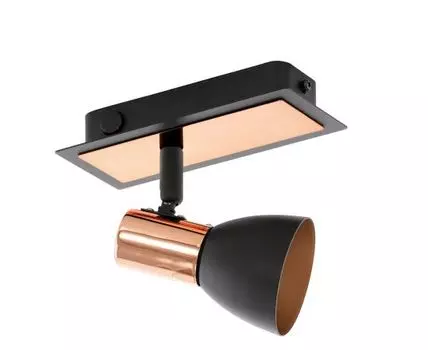 Спот Eglo Barnham