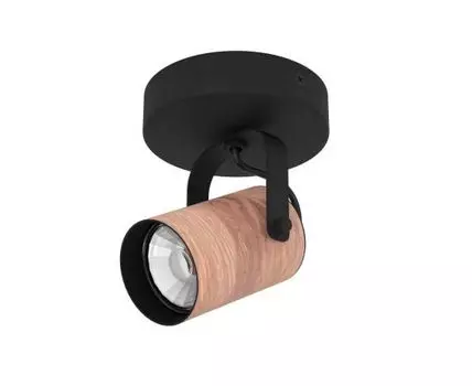 Спот Eglo CAYUCA