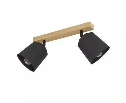 Спот Eglo COTORRO