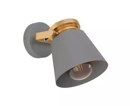 Спот Eglo TWICKEN