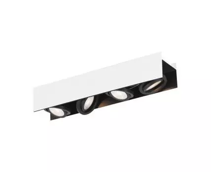 Спот Eglo VIDAGO