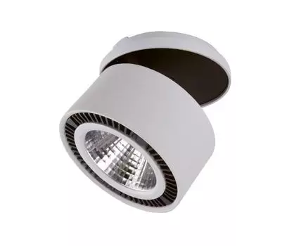 Спот LightStar Forte