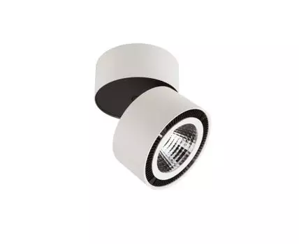 Спот LightStar Forte