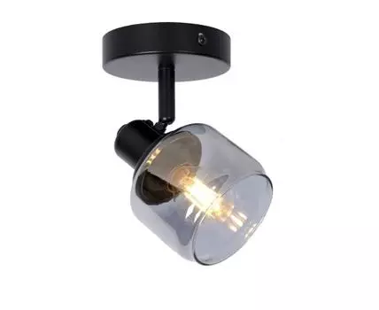 Спот Lucide BJORN