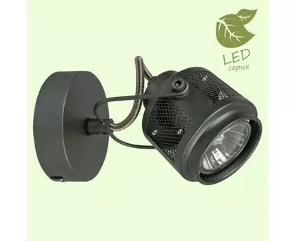 Спот Lussole LOFT