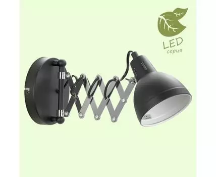 Спот Lussole LOFT