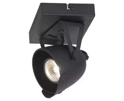 Спот Lussole Loft