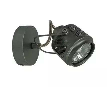 Спот Lussole LOFT