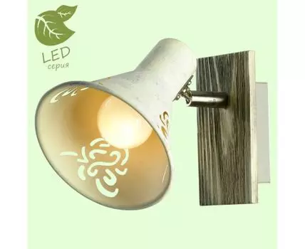 Спот Lussole MCCONNICO