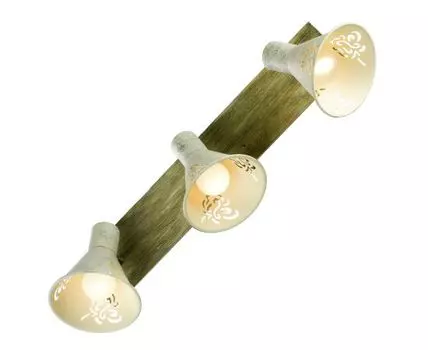 Спот Lussole MCCONNICO