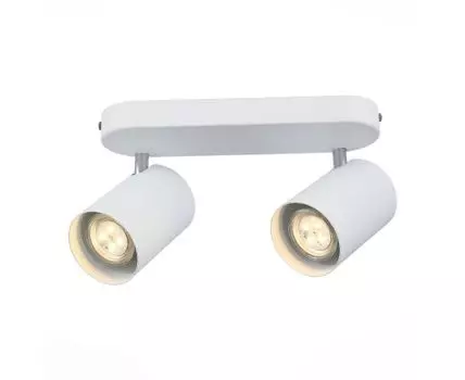 Спот ST Luce настенно-потолочный Fanale