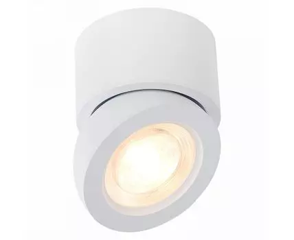 Спот ST Luce ST654